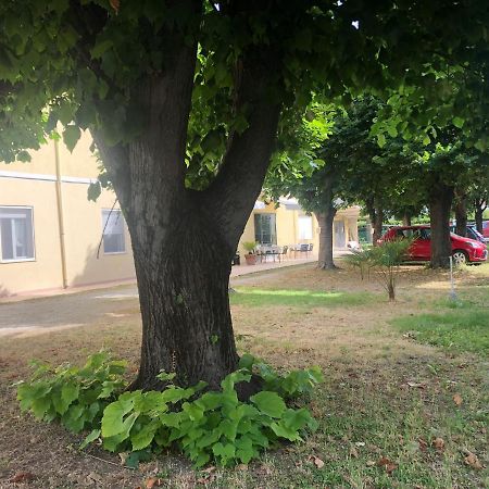 Hotel Argo Rimini Dış mekan fotoğraf