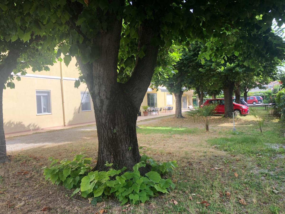 Hotel Argo Rimini Dış mekan fotoğraf