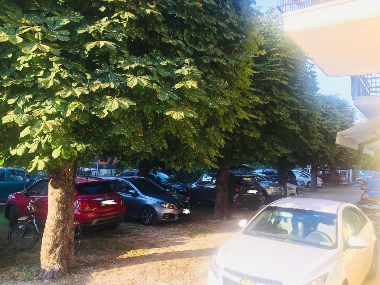 Hotel Argo Rimini Dış mekan fotoğraf