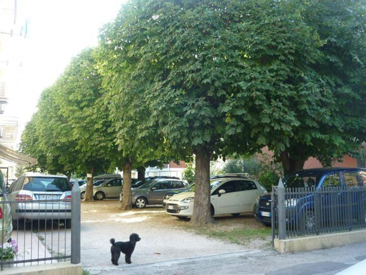 Hotel Argo Rimini Dış mekan fotoğraf